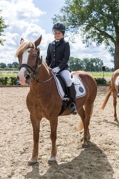Bild 729 - Pony Akademie Turnier